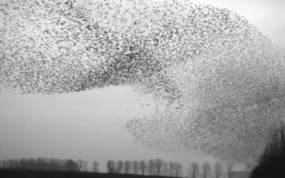 Spiritual Infrastructure